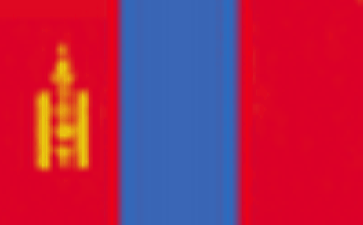 mongolia Online phone number